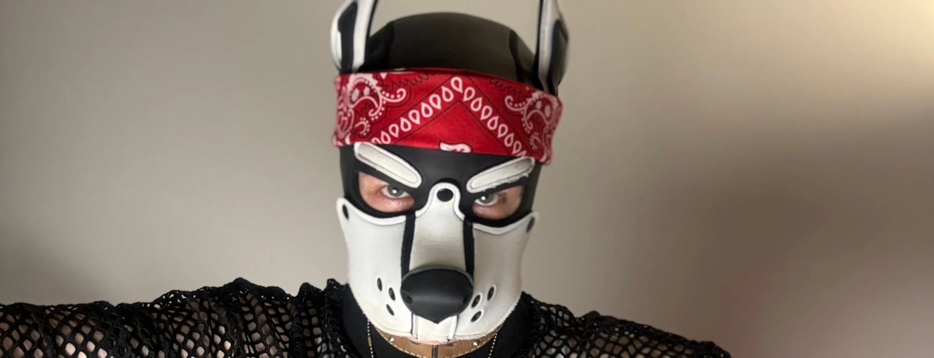 Andre Dox profile banner