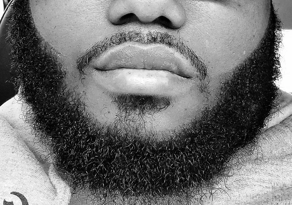 The Softest Beard's avatar