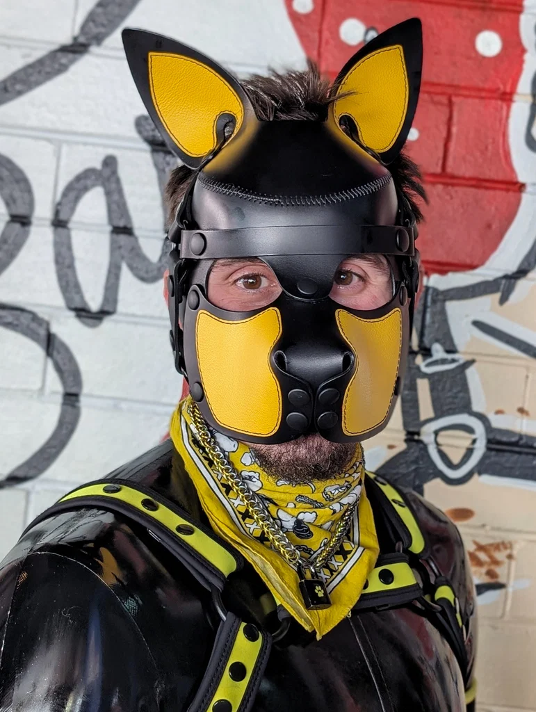 Achillies_Pup 🐶's avatar