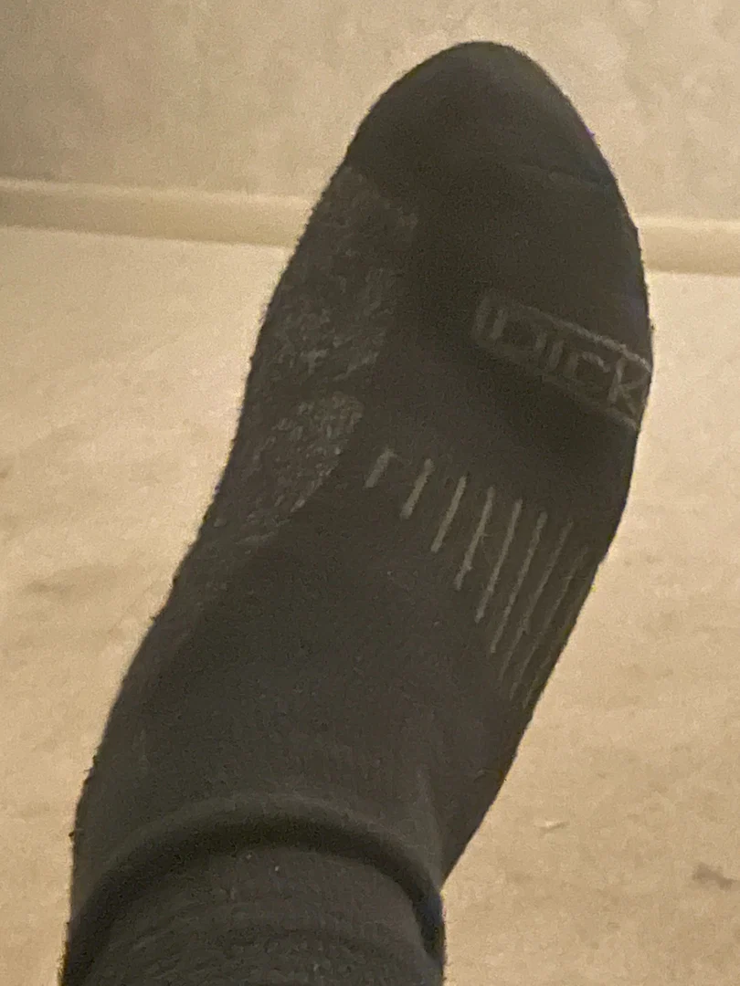 Grizzly Feet profile banner