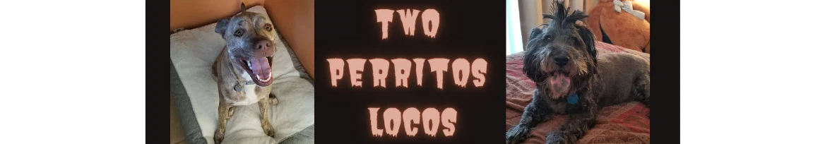 TwoPerritosLocos profile banner