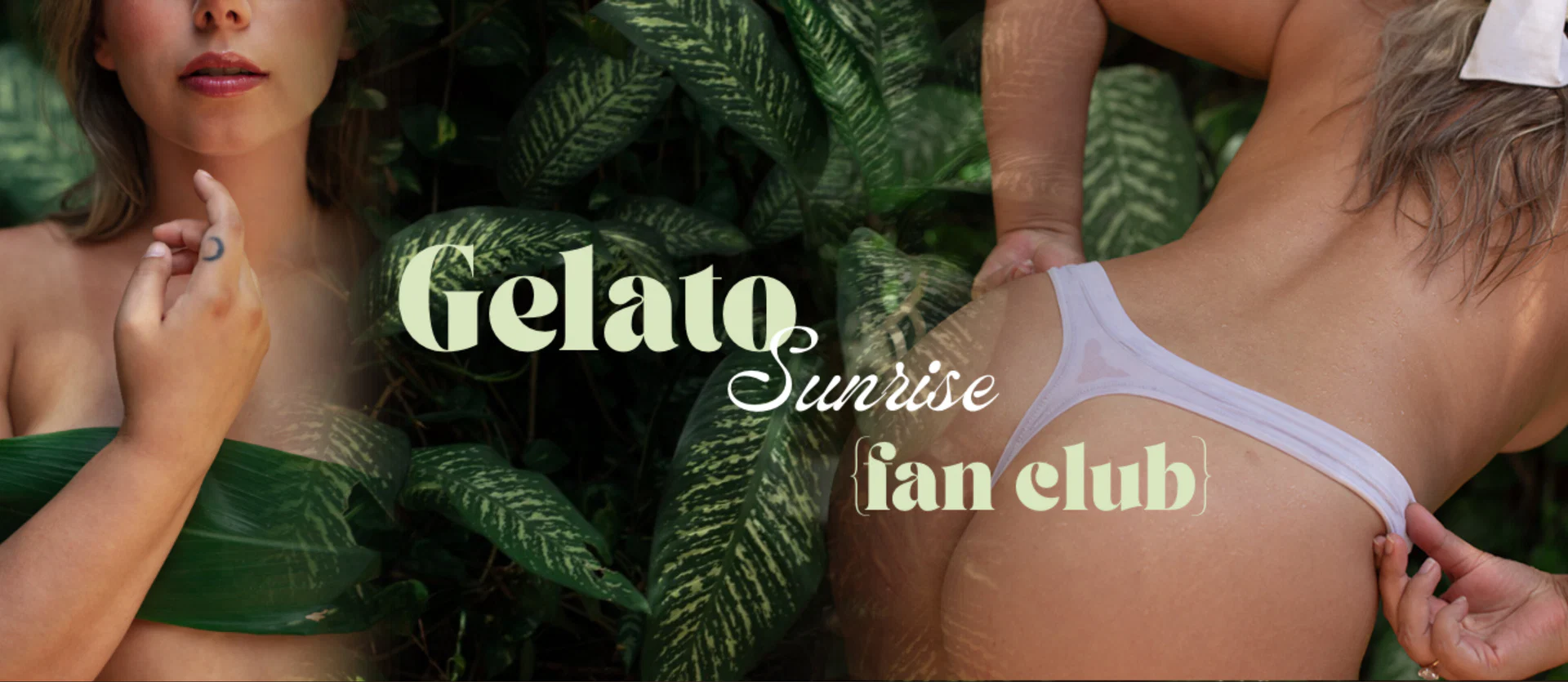 Niya Fox Fan Club profile banner