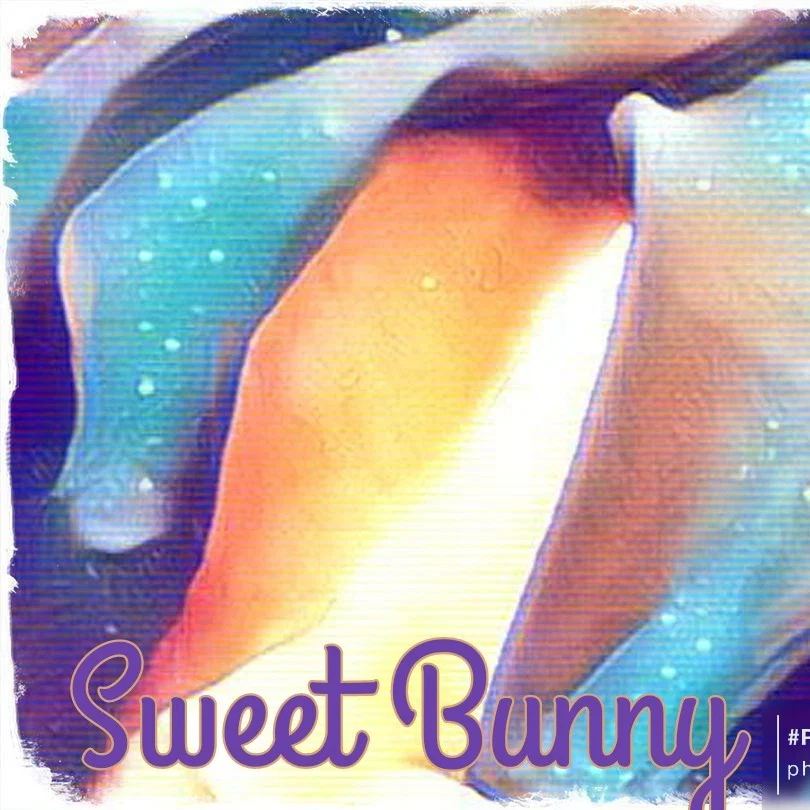SweetBunny's avatar