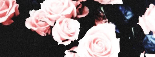 Blondie☀️ profile banner