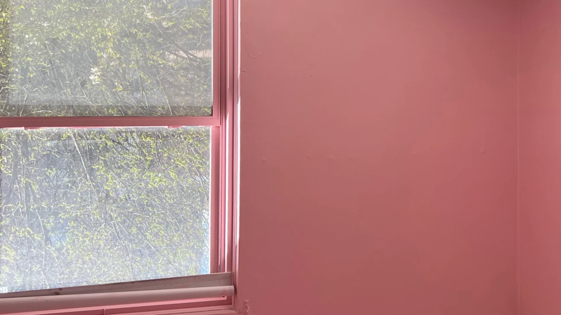 asiankreamsicle🍊 profile banner