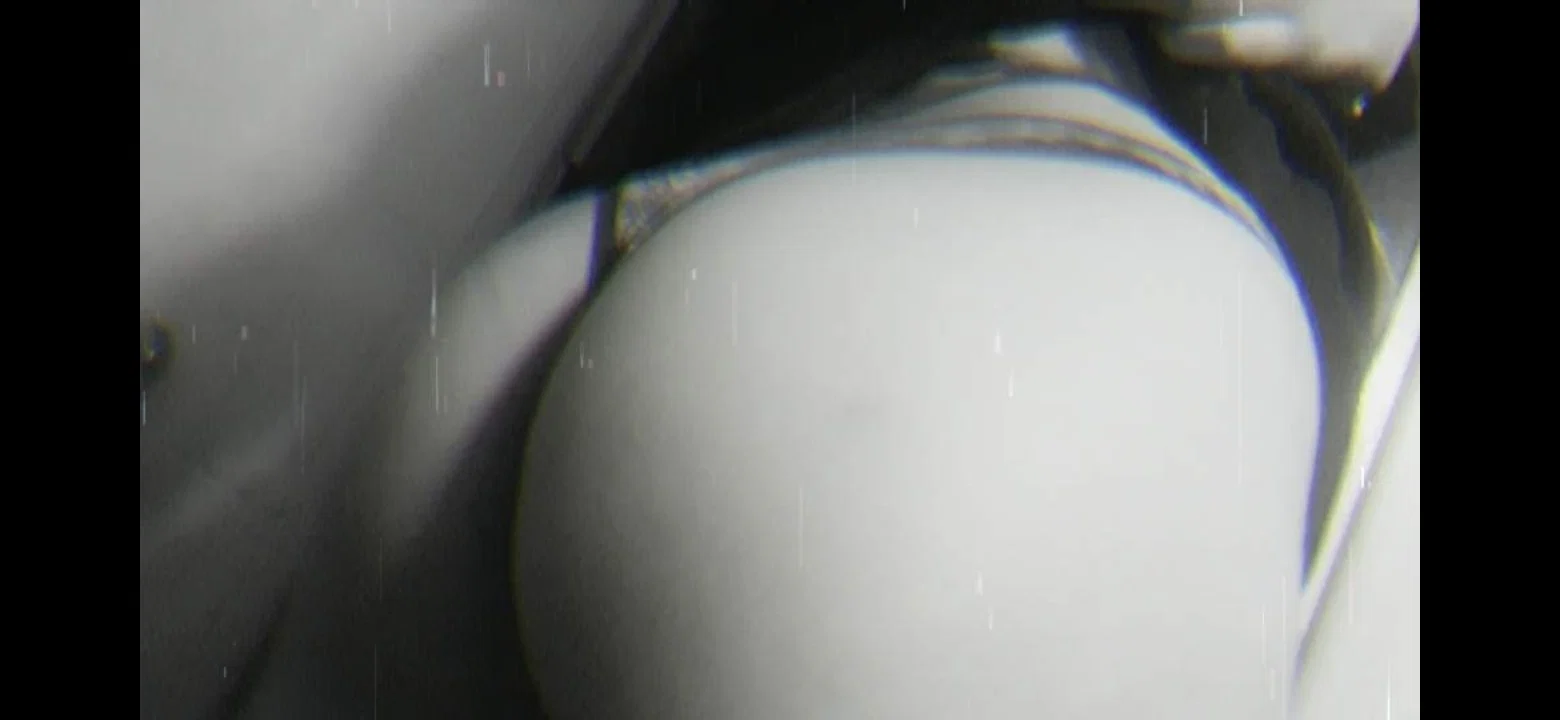 Luna profile banner