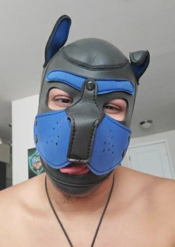 Pup Gaymer's avatar