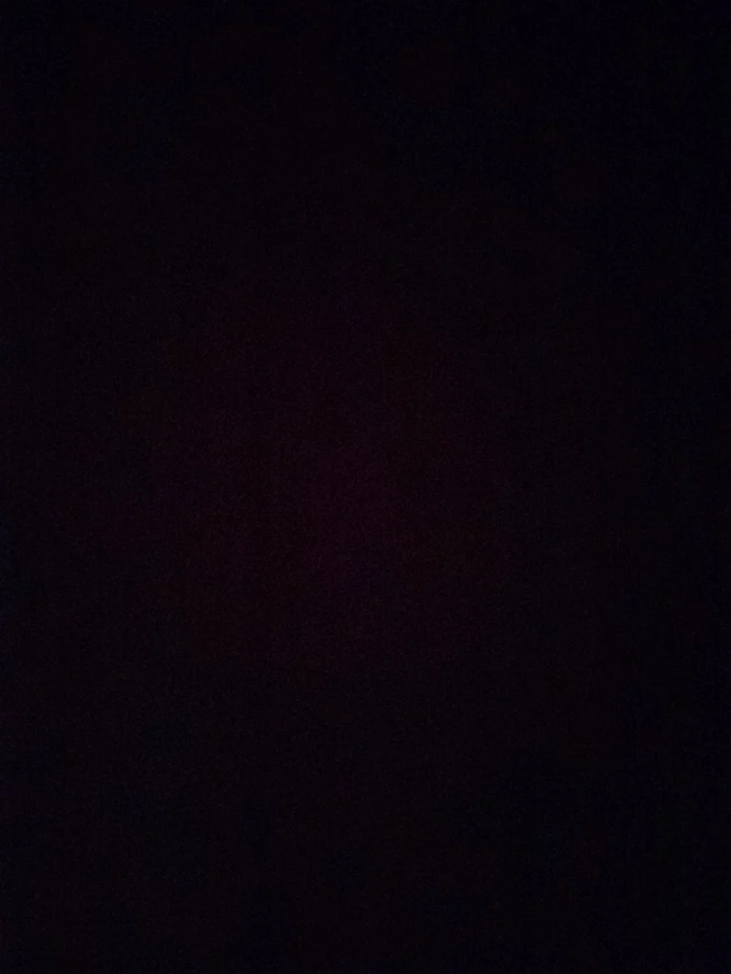 Nutmilk profile banner