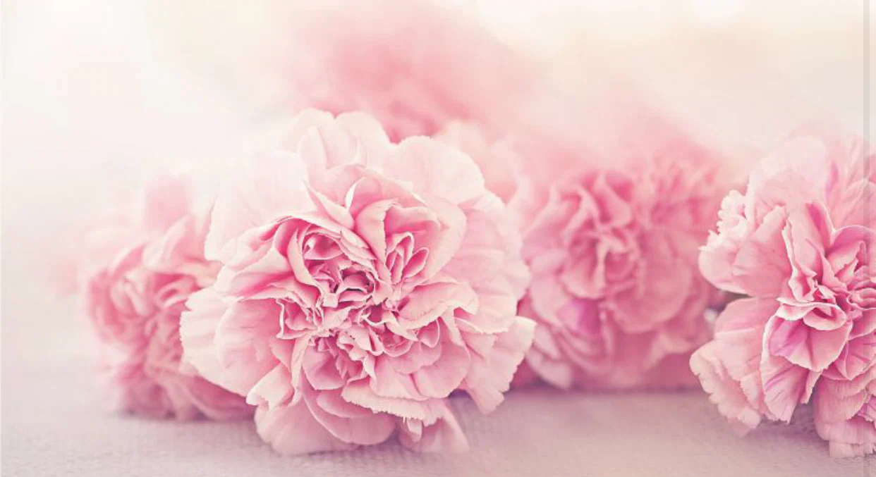 SweetHoney profile banner