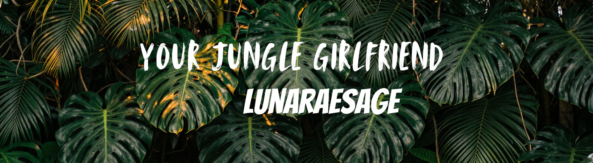 Luna π VIP profile banner