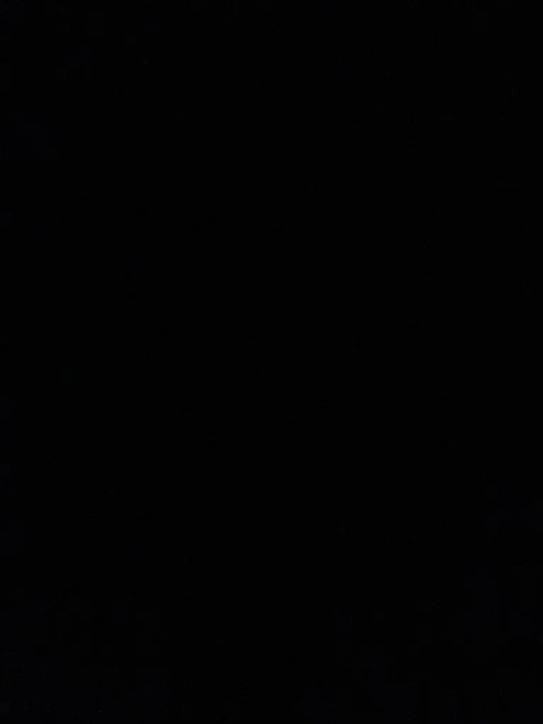 u241895046