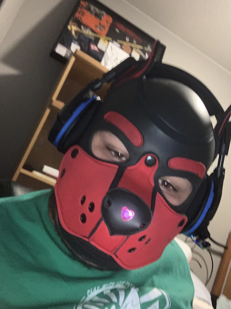 Pup Loki profile banner