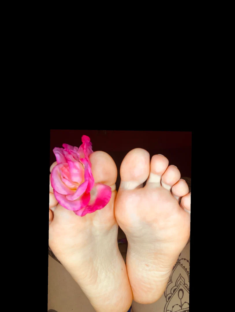 Anya Rose profile banner