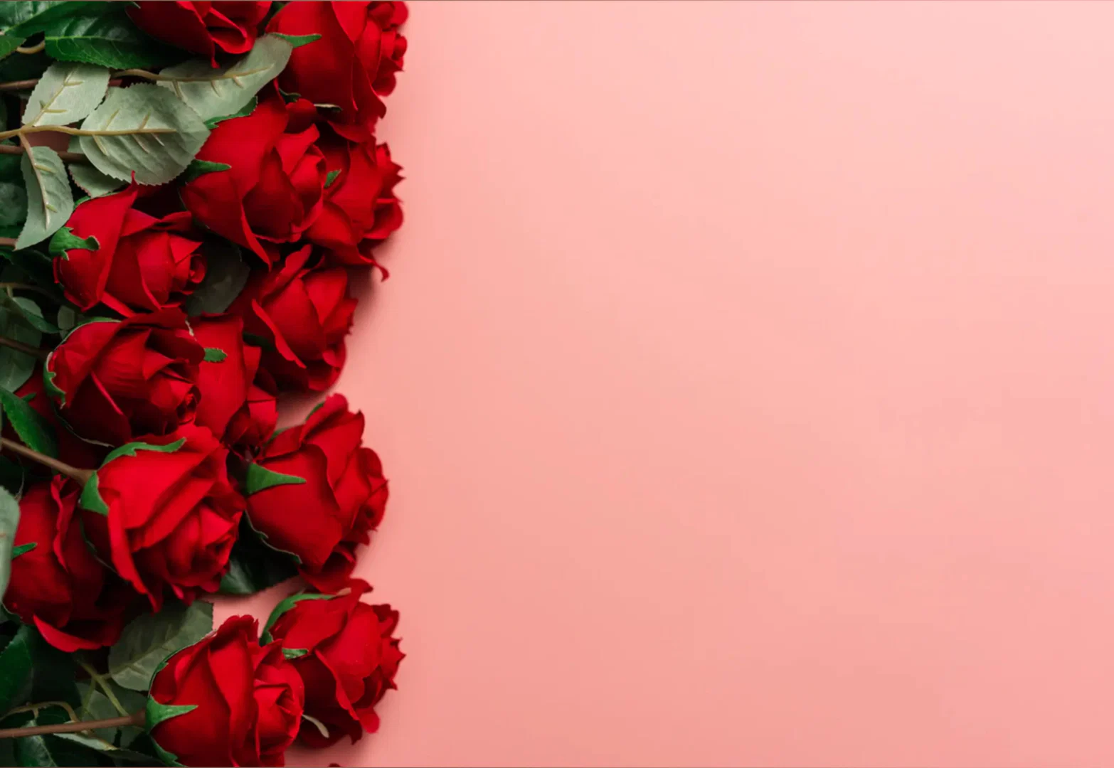 Carly profile banner