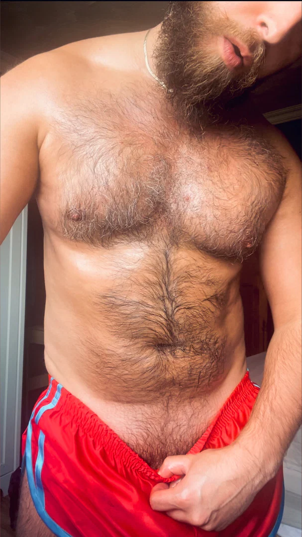 Hairy Pianist profile banner