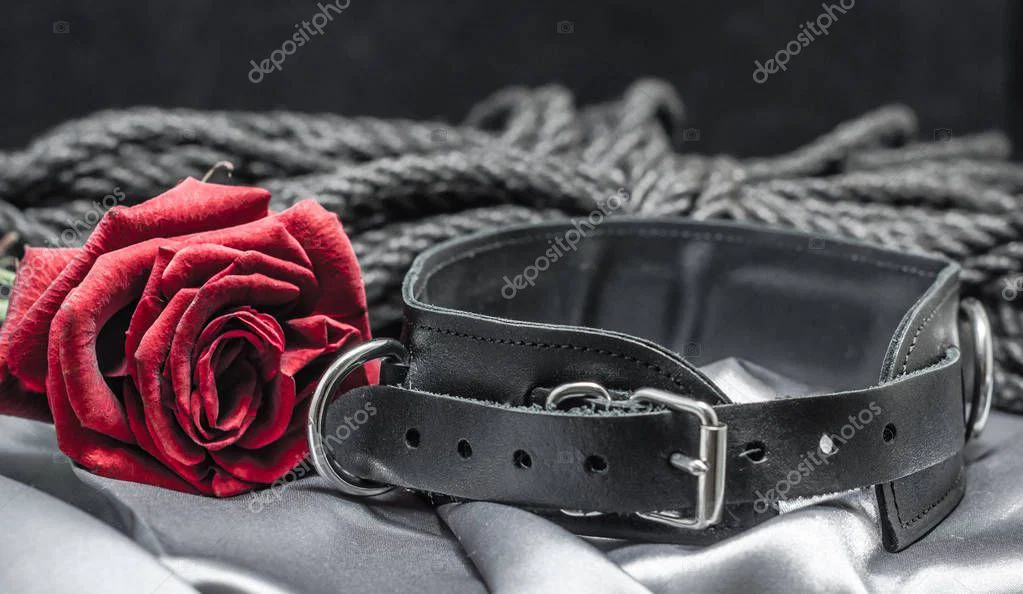 BDM2424 profile banner
