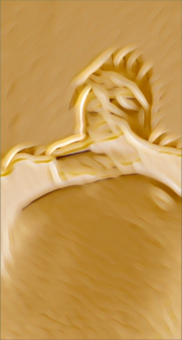 TwiXXX profile banner