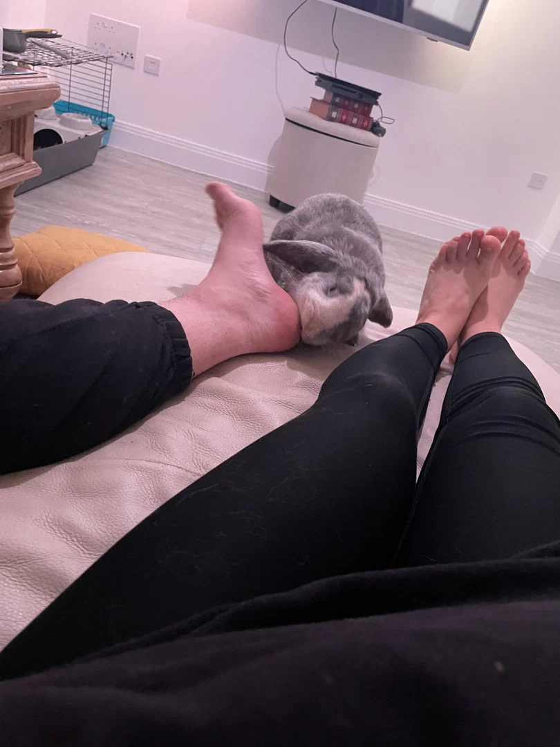 Bunnyfootfetish profile banner