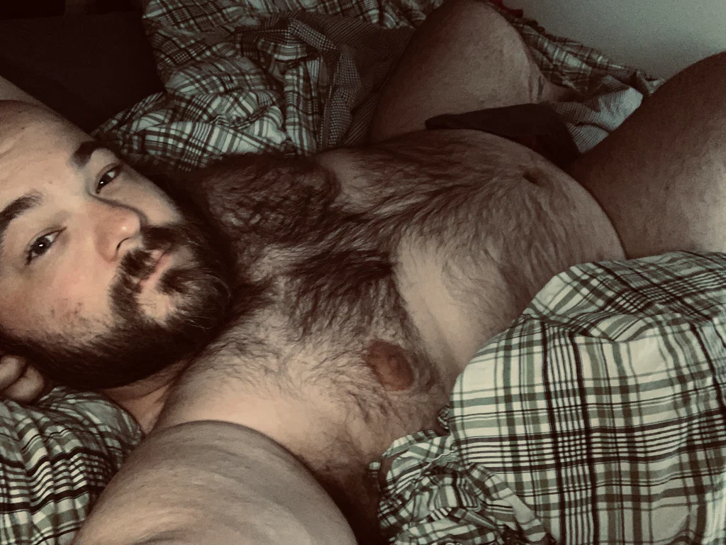 ABashfulBear's avatar