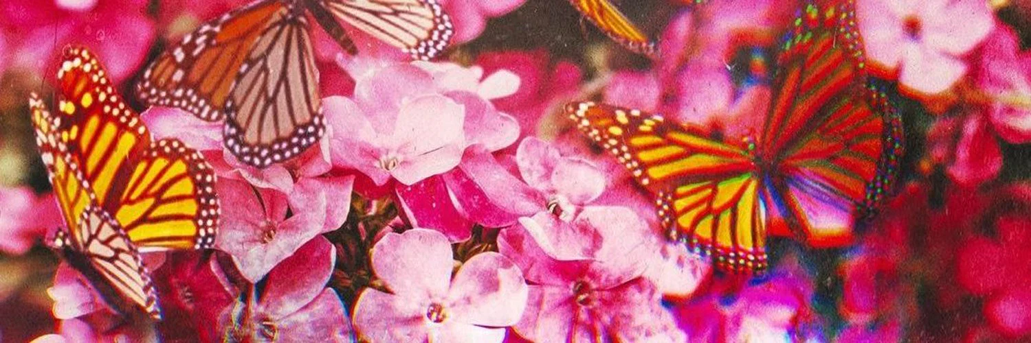 Kay profile banner