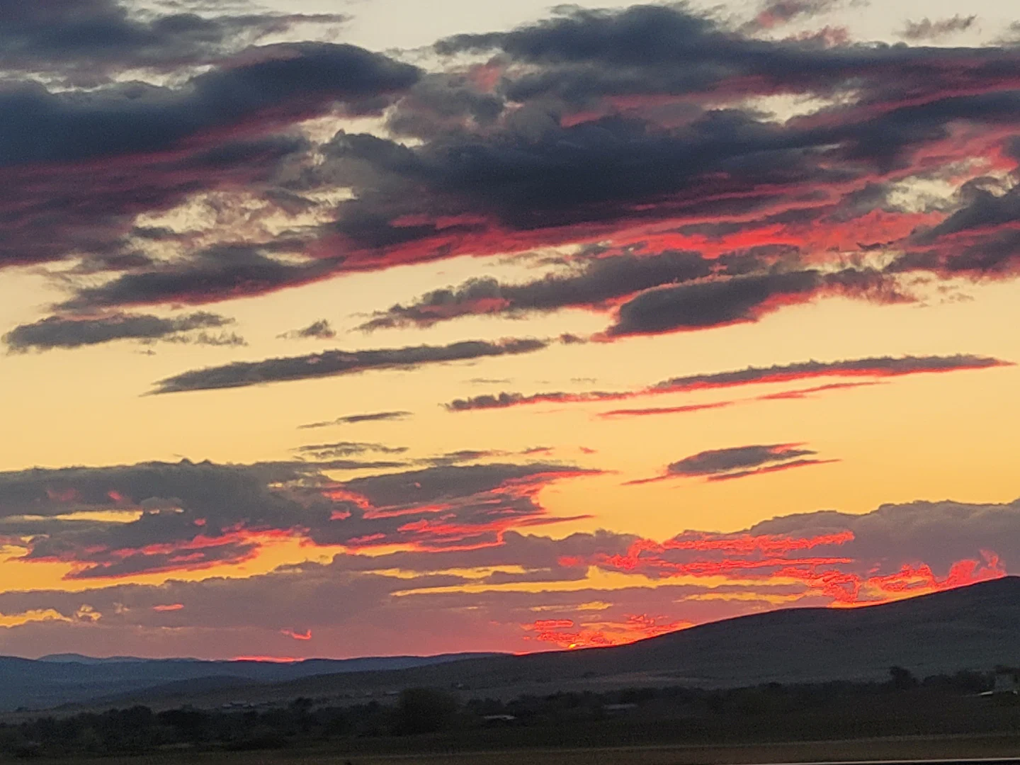 Montana profile banner
