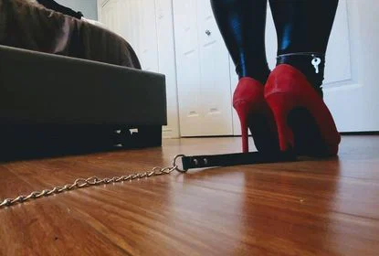 sofia leather profile banner