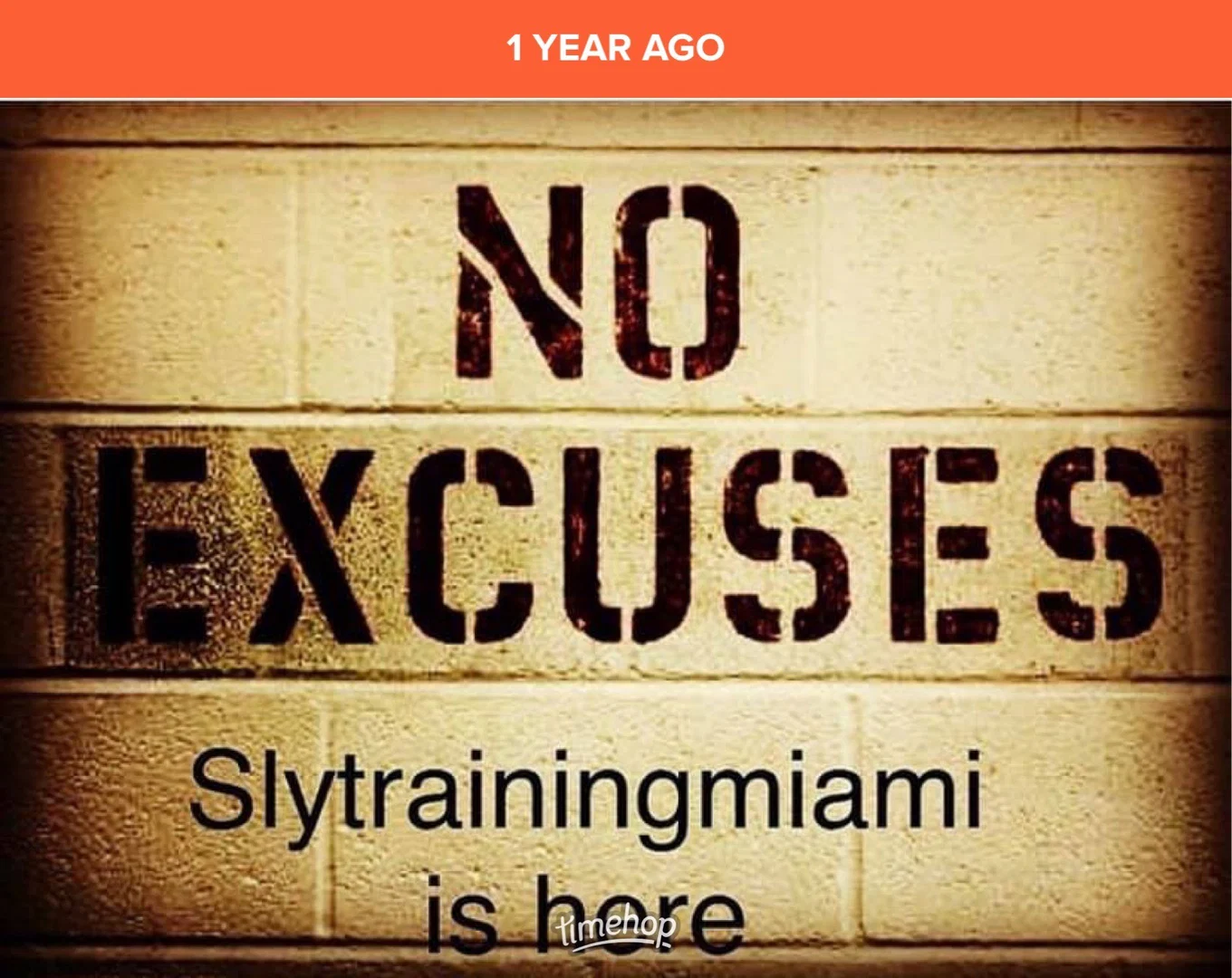 Sly Training profile banner