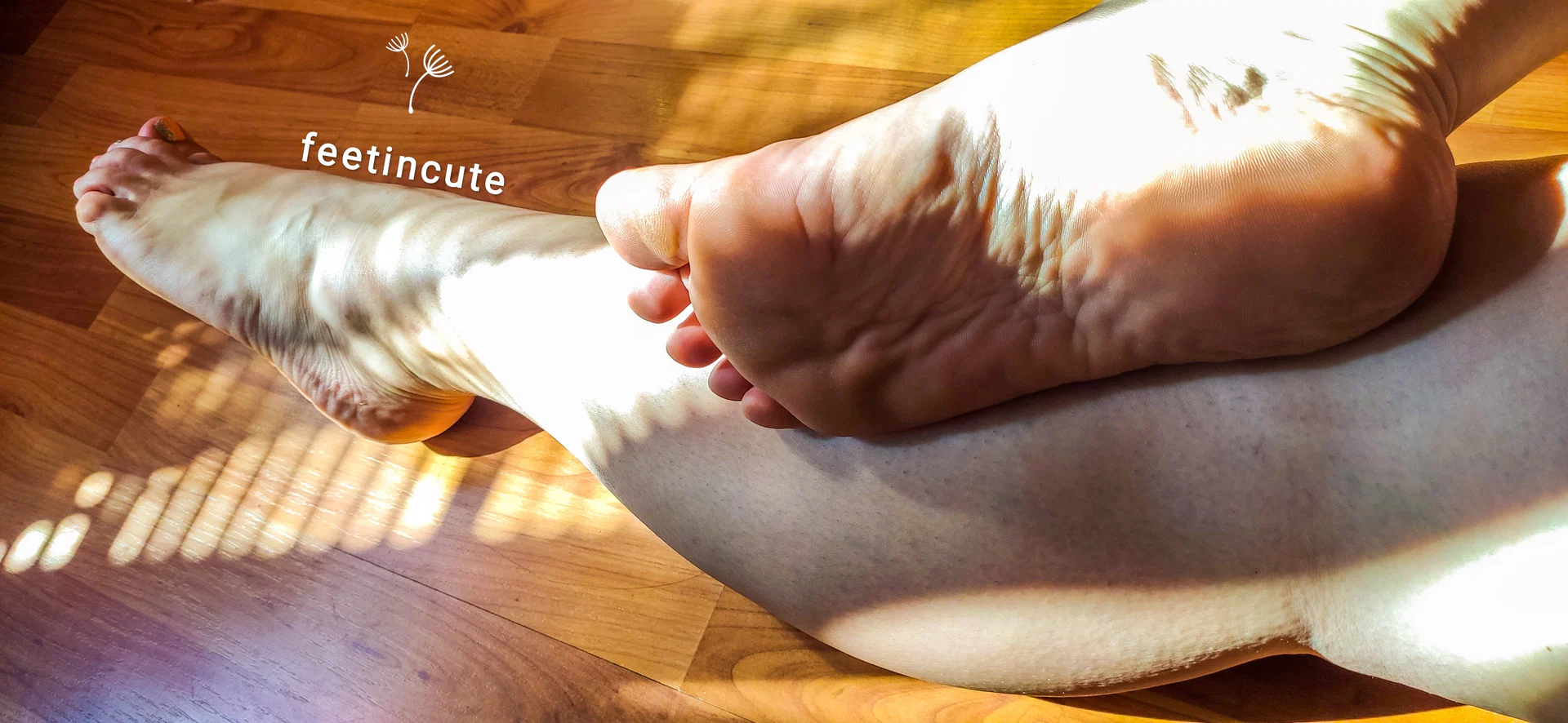feetincute profile banner
