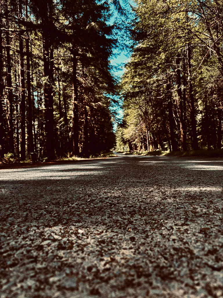 Straight Up Photography