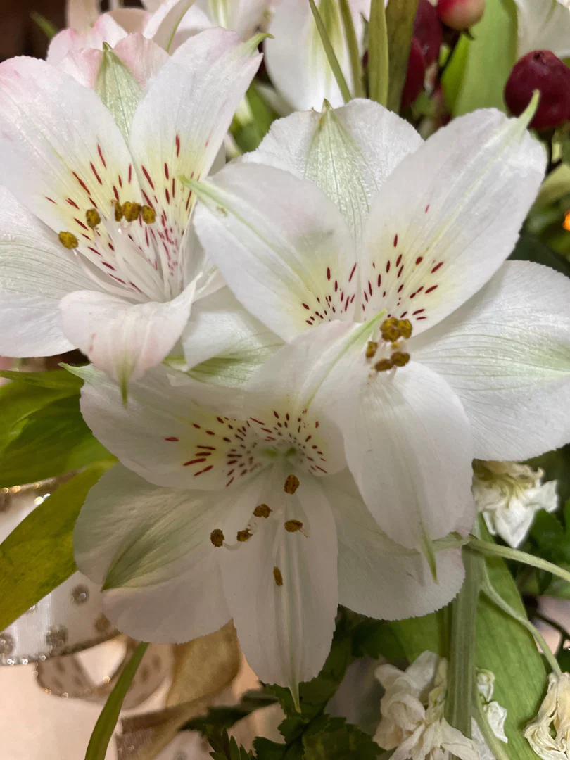April Capers profile banner