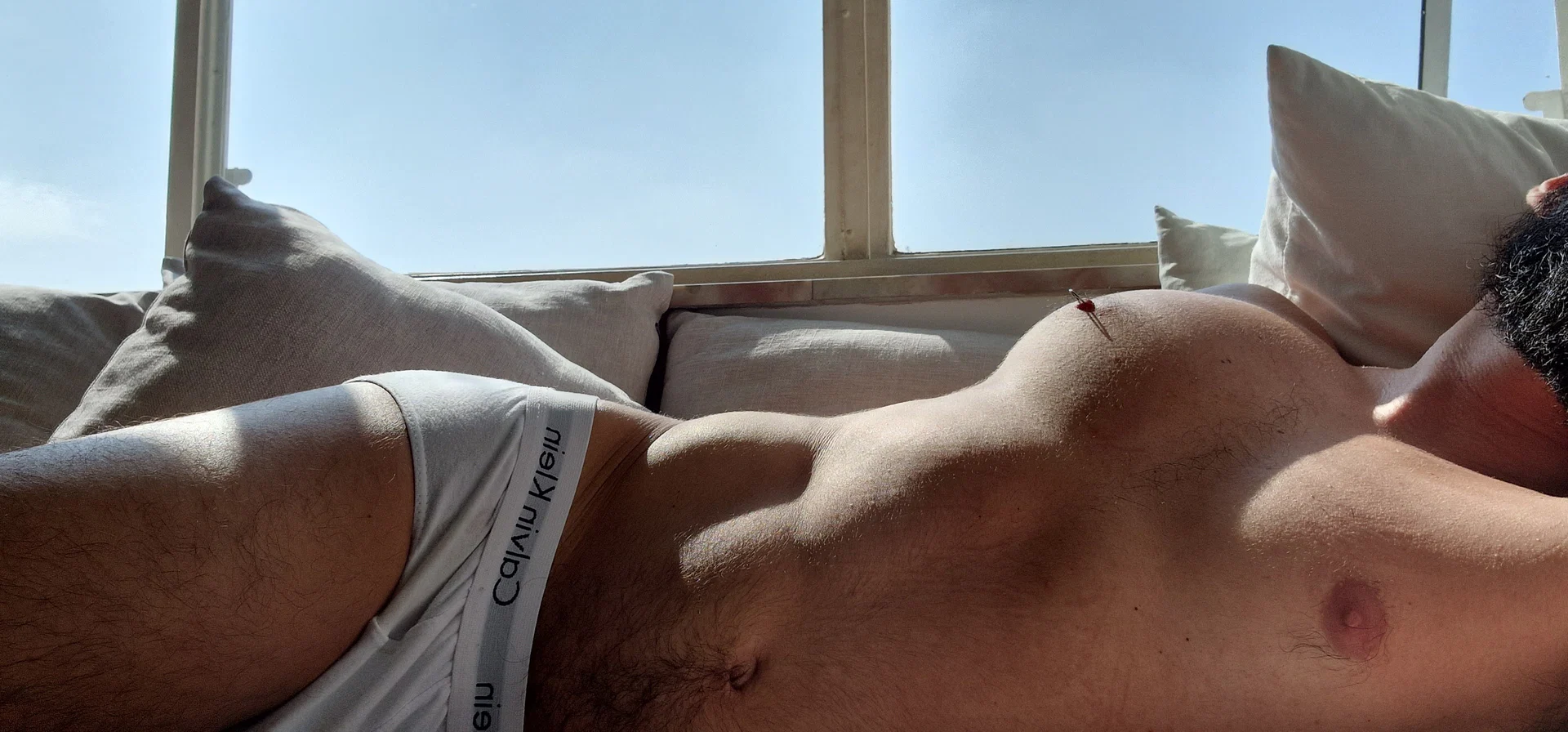 Testojunk profile banner