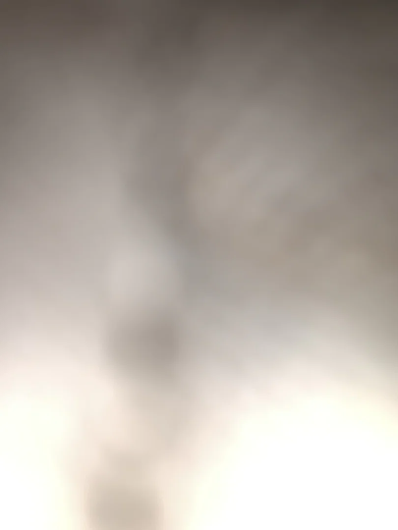 Hunter profile banner