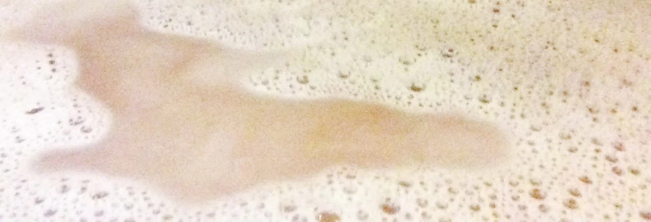Jaymes A. Paxton profile banner