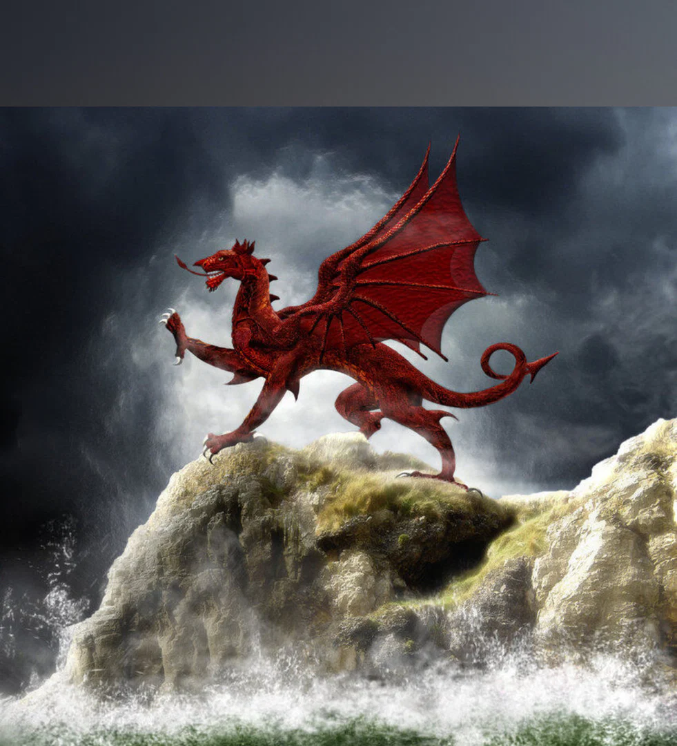Welsh Wonder profile banner