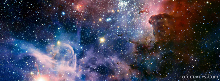 Kitty profile banner