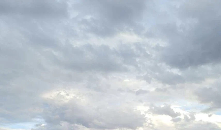 Briana profile banner