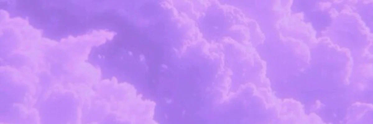 nikki profile banner