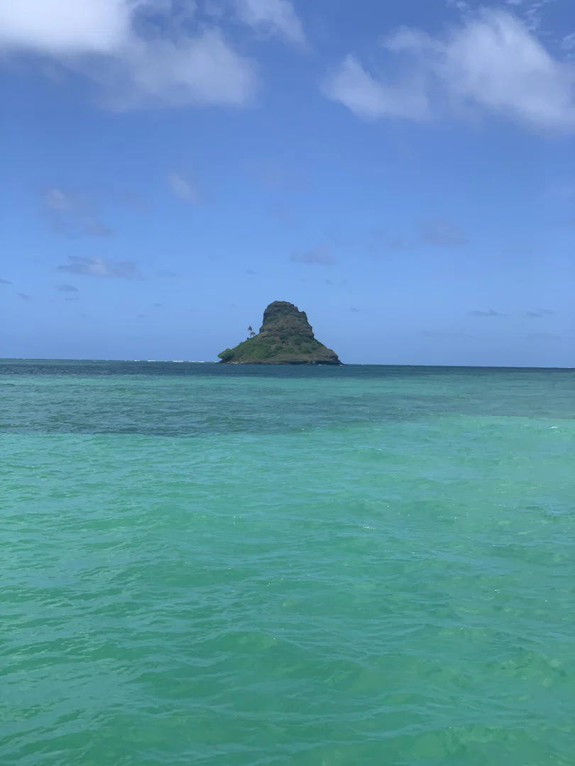 Hawaiian Souljah profile banner