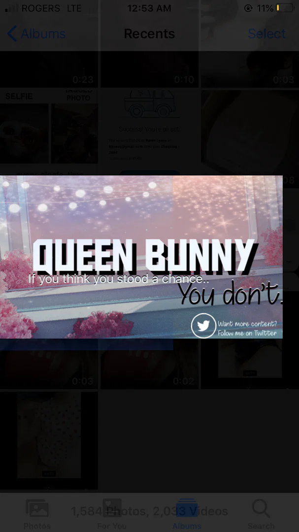 Bunny Baby π π profile banner