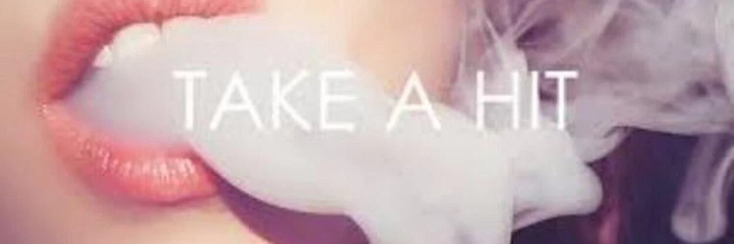 stay high profile banner