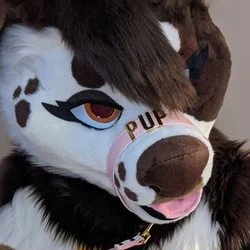 Puppy💖🐶's avatar