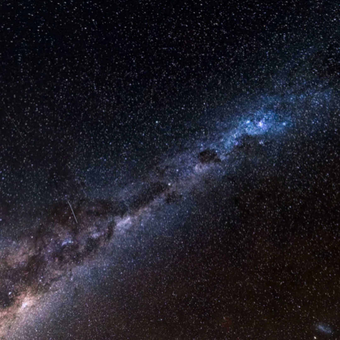 D. profile banner