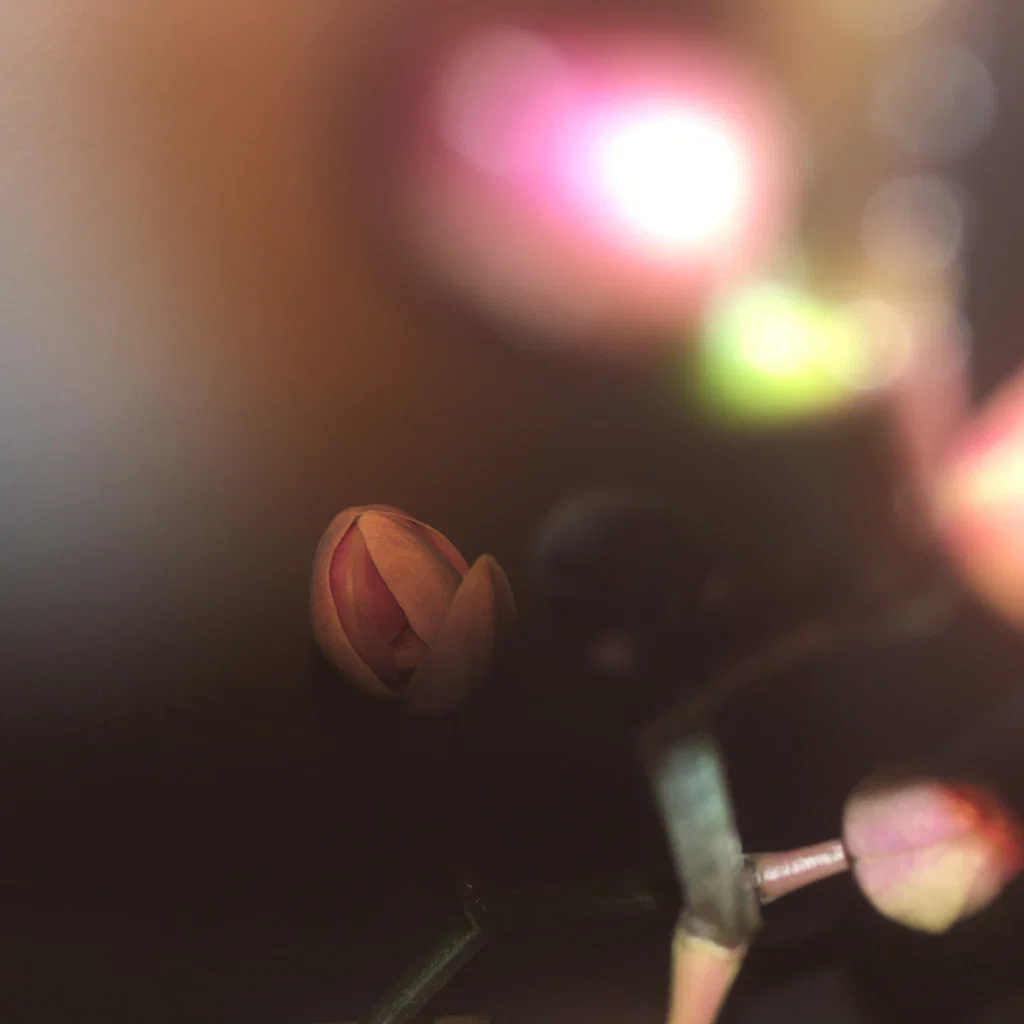 Lil Emerald's avatar