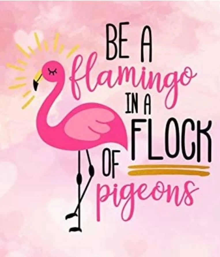 Fru Flamingo's avatar