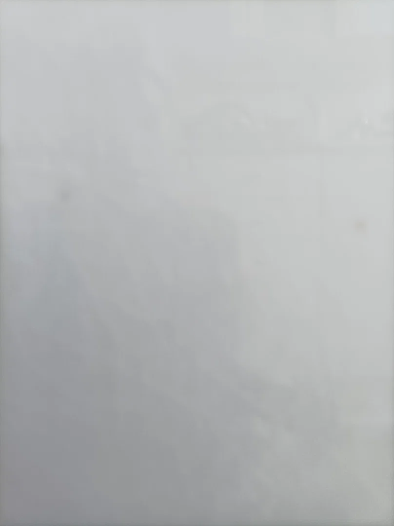 Paulina Porkotrova profile banner