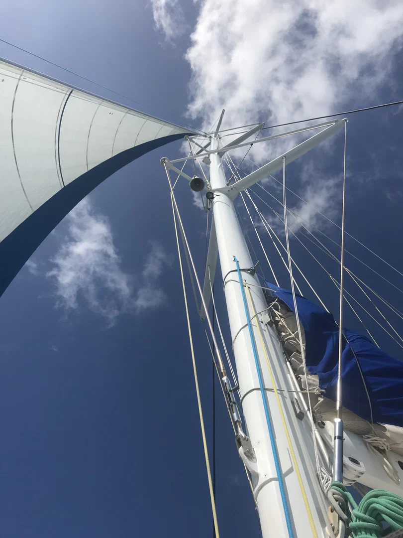 Lexidevine profile banner