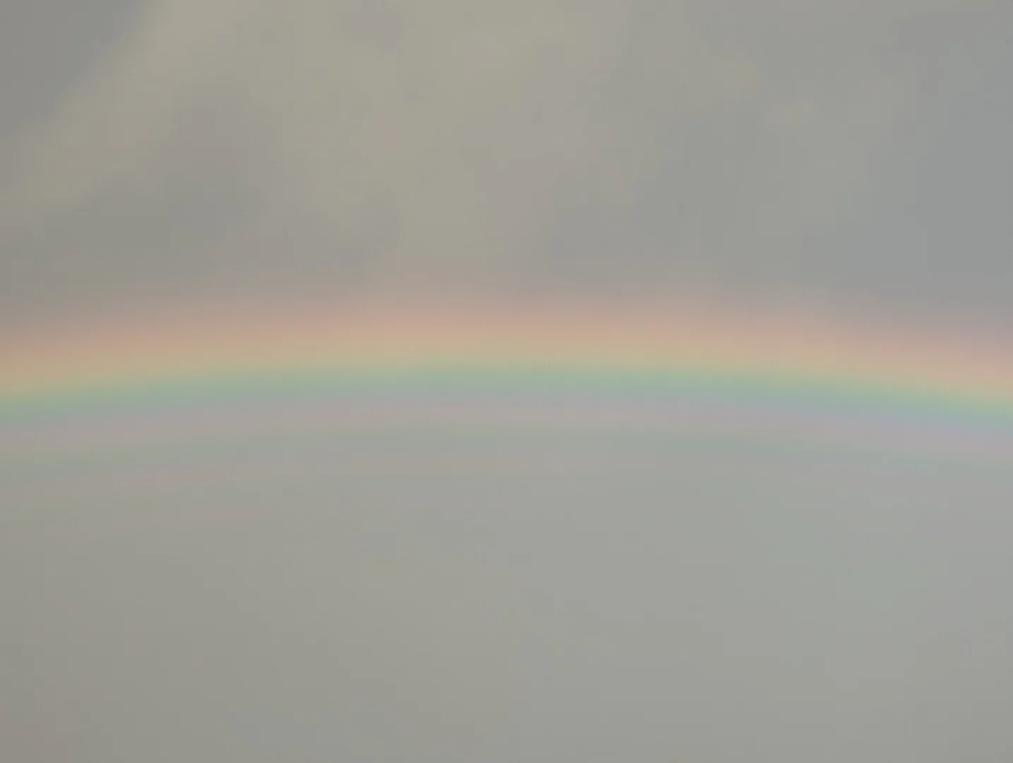 Love profile banner