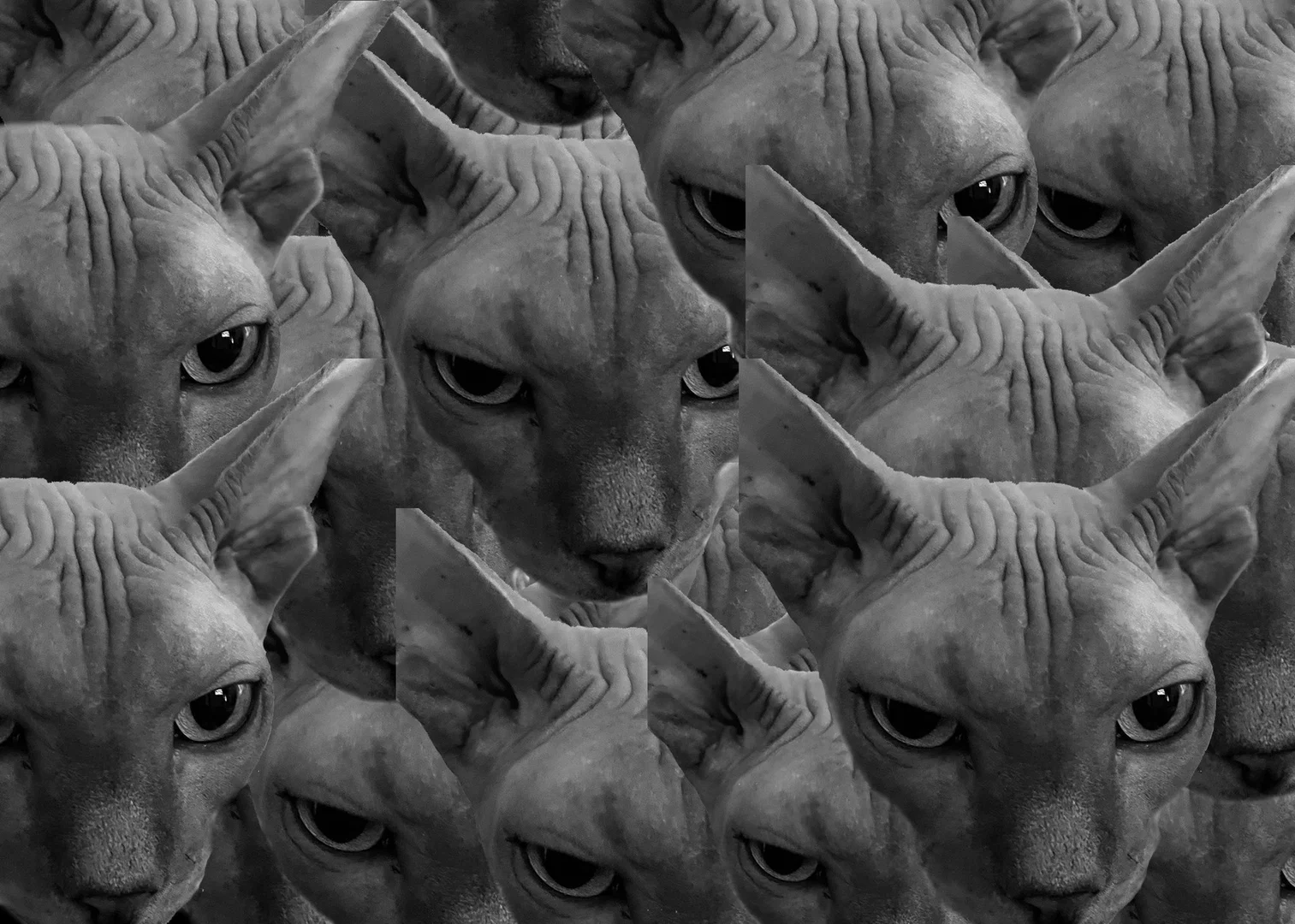 Luciferovo Dite<3 profile banner