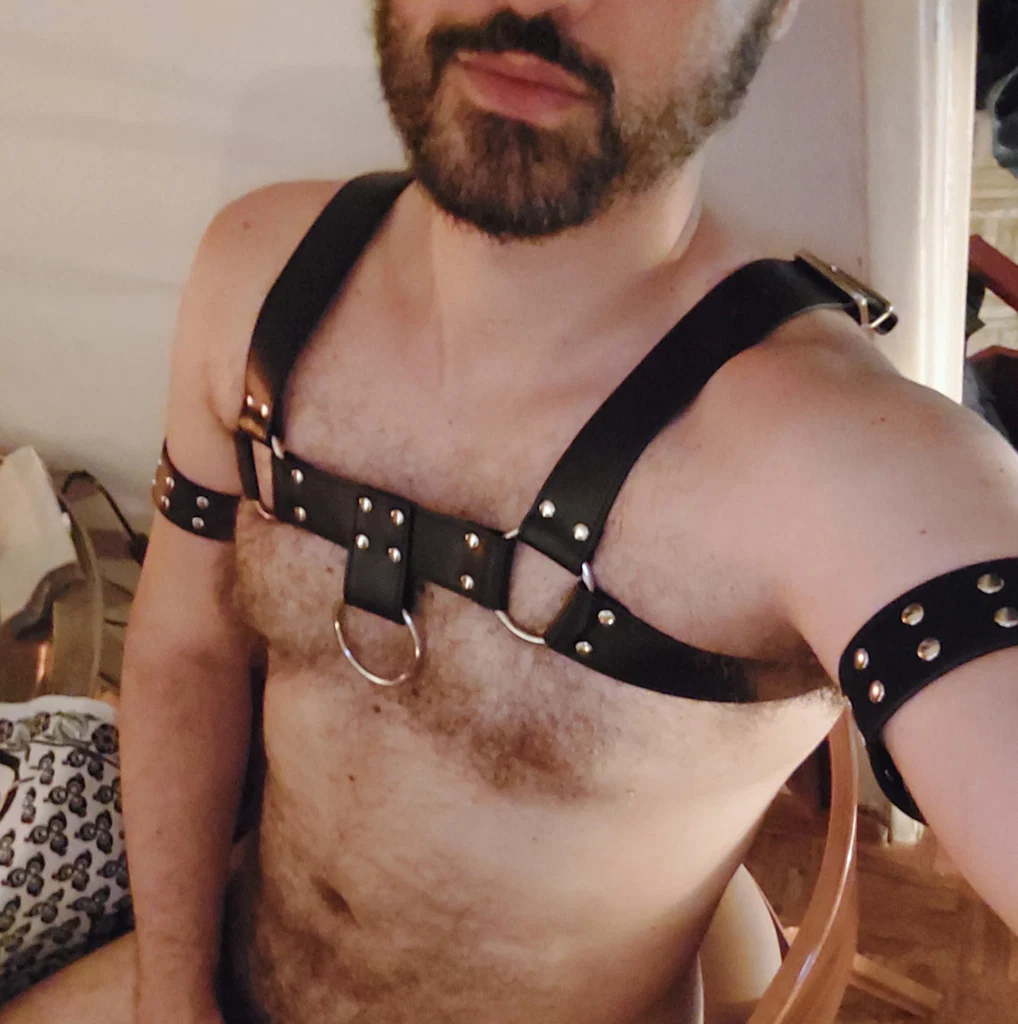 fortalboy's avatar