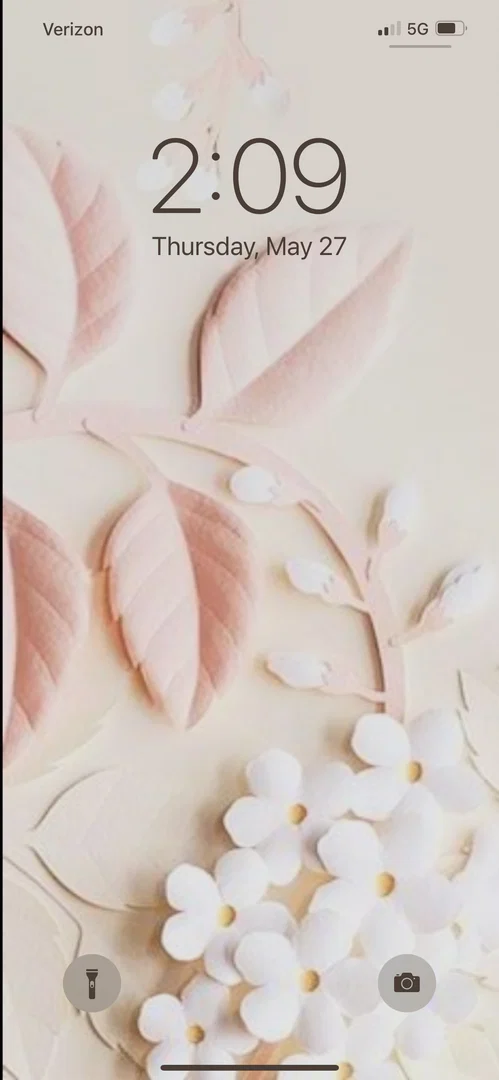 Sierra Ashton profile banner